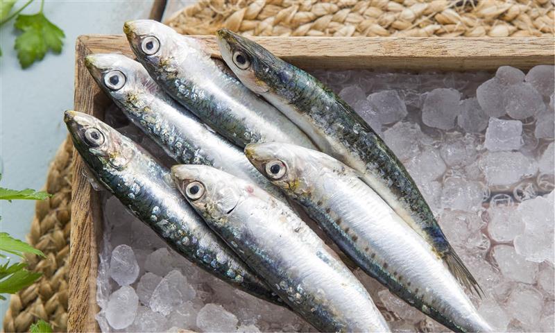 alimentos vitamina d sardinas