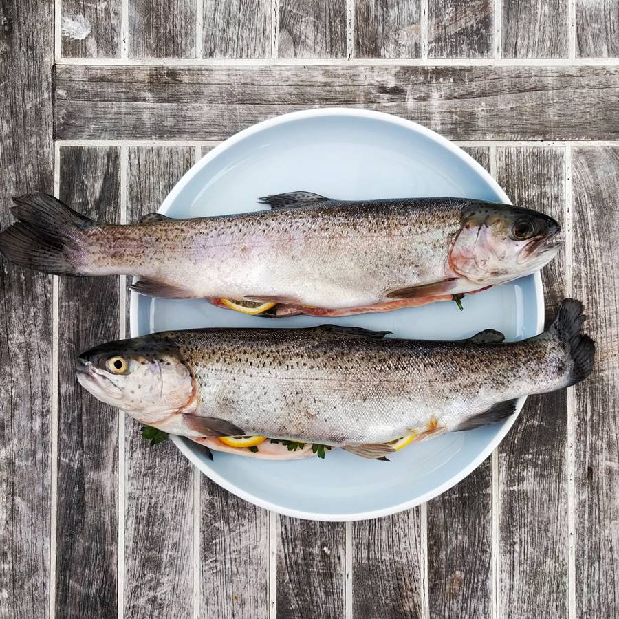 Anisakis: cómo detectarlo en el pescado y síntomas más comunes