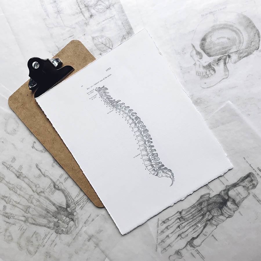Osteoporosis: la enfermedad silenciosa que debilita tus huesos