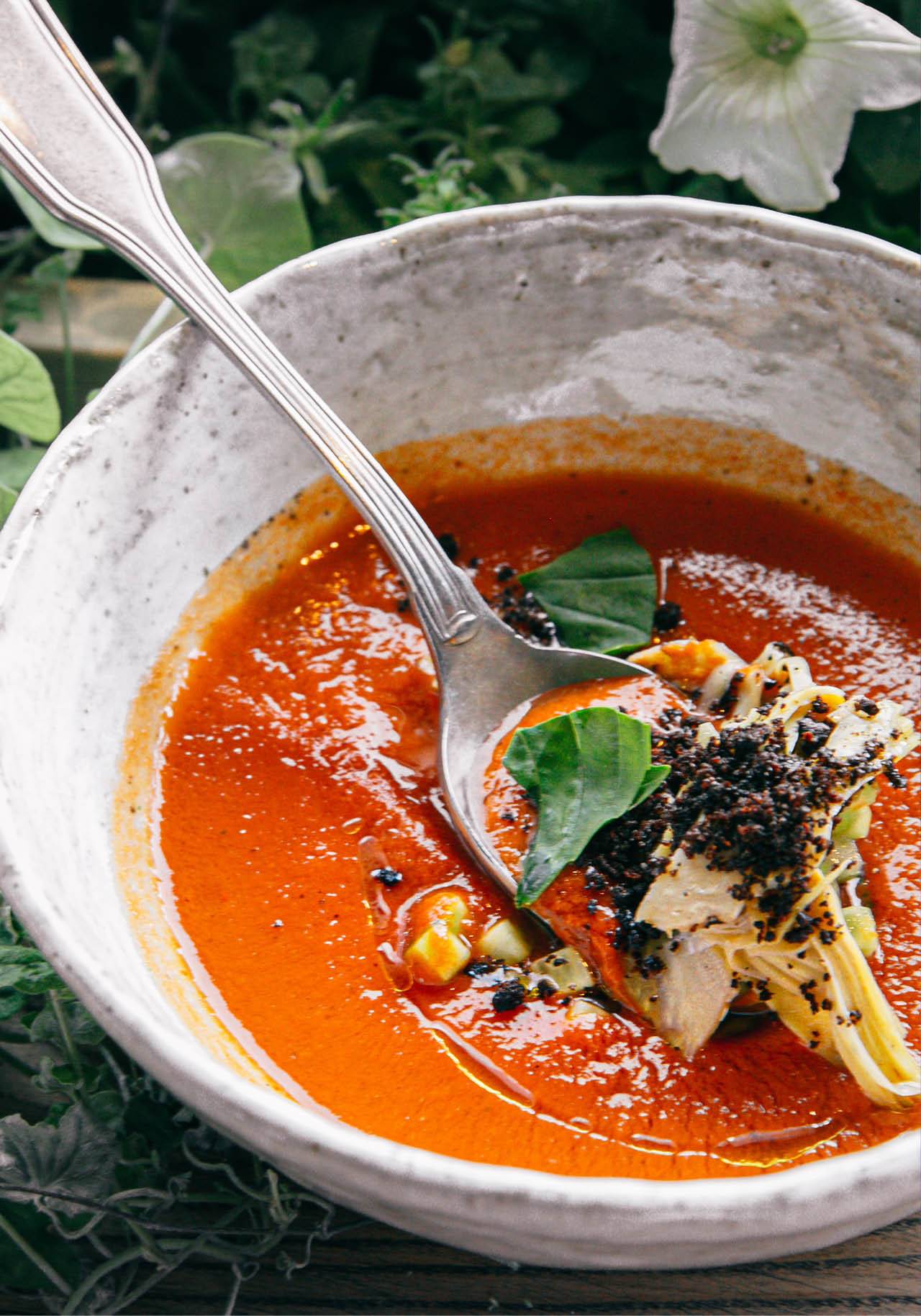 recetas veganas para toda la familia sopa de tomate asado