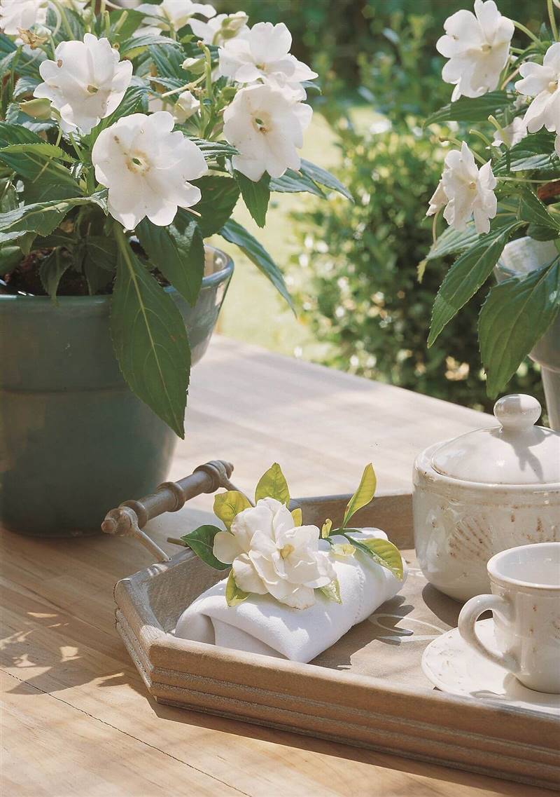 Gardenia flores blancas