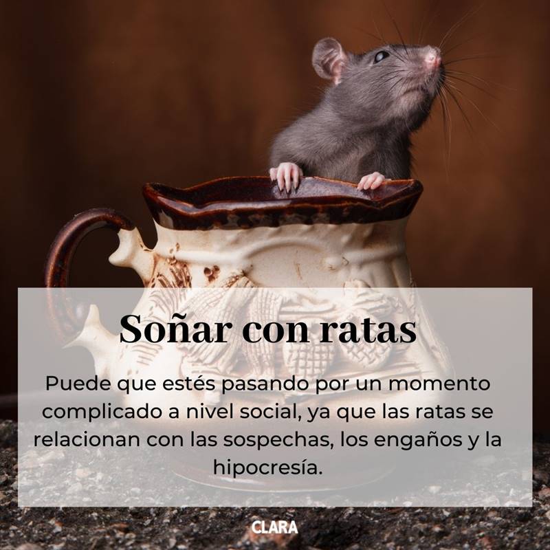 soñar con ratas