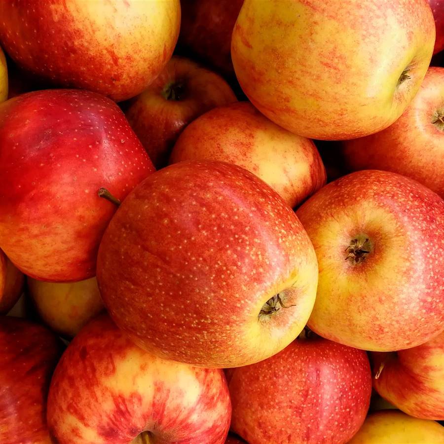 Dieta de la manzana para adelgazar rápido en 5 días