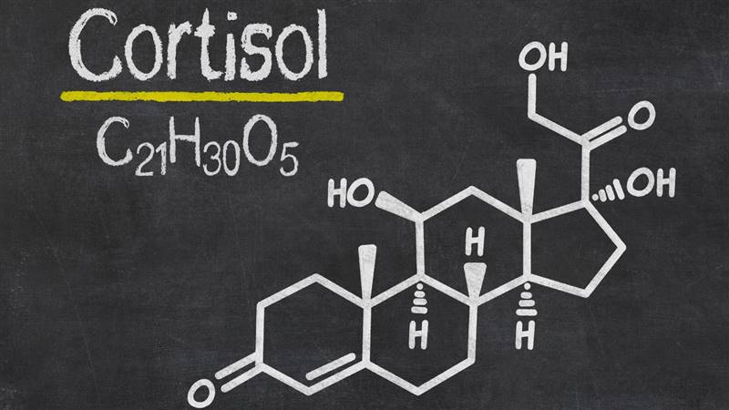 cortisol no dormir engorda