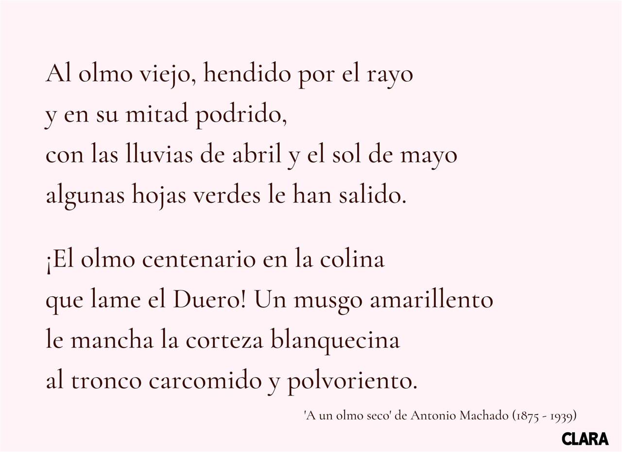 Los 75 poemas más bonitos en lengua española