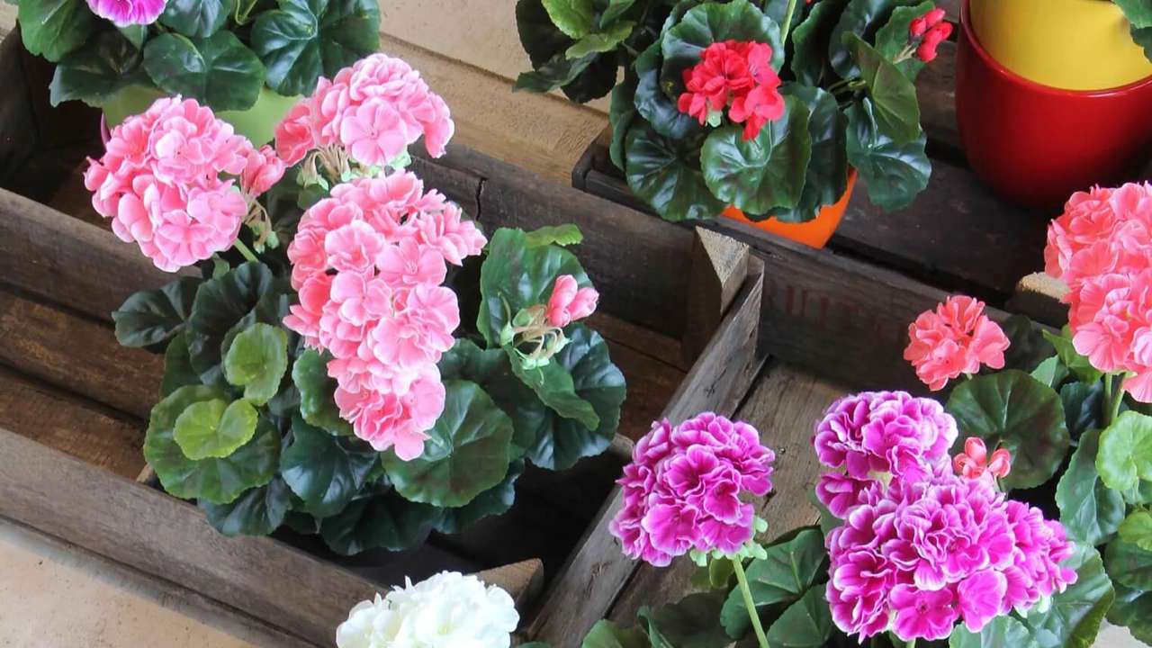 10 plantas con flores artificiales que parecen de verdad (para interior y exterior)