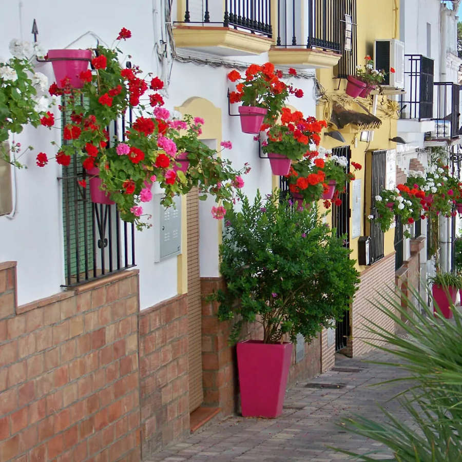 Los pueblos de Málaga con las flores más bonitas para disfrutar en mayo (y no lo sabías)