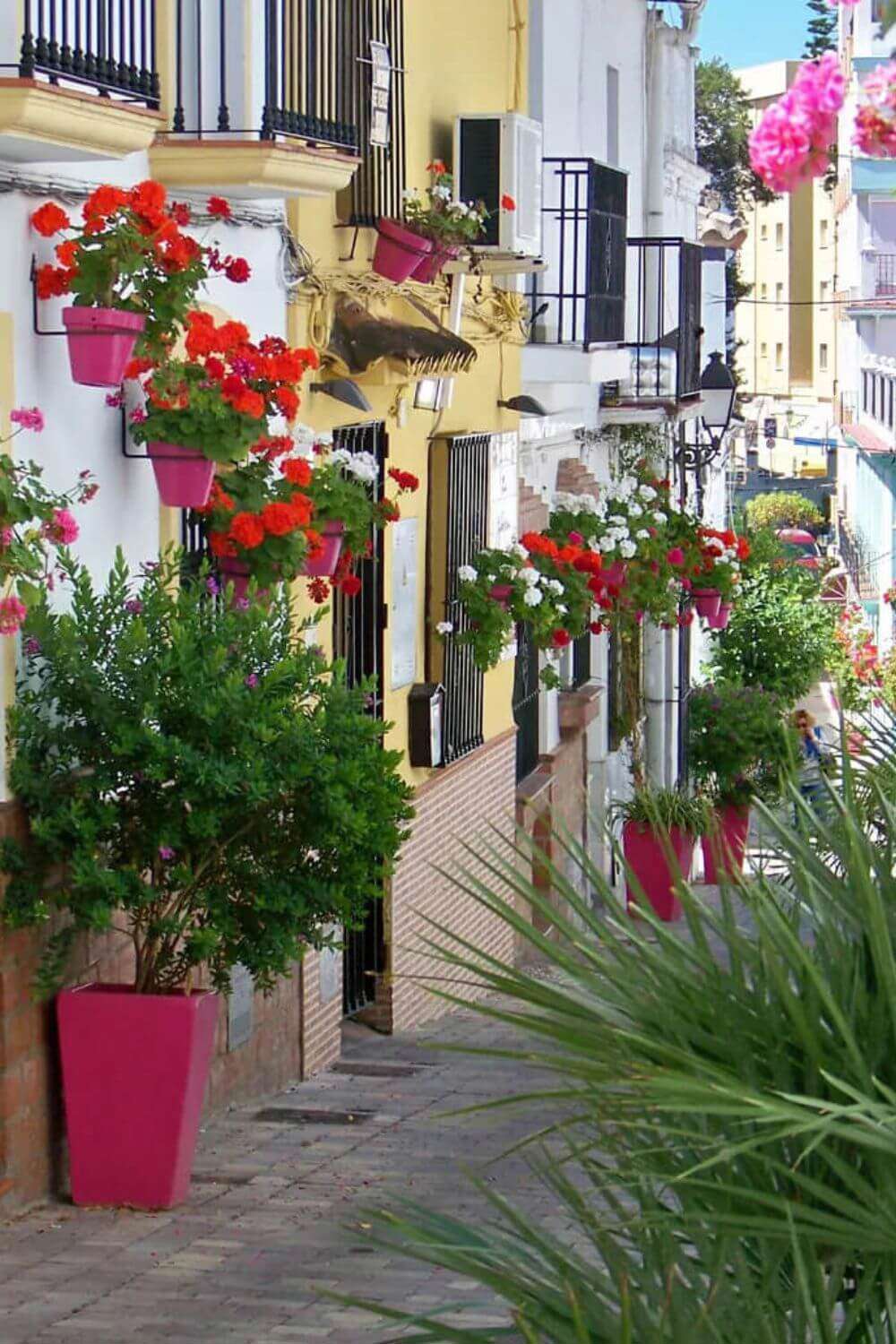 pueblos bonitos de Málaga Estepona