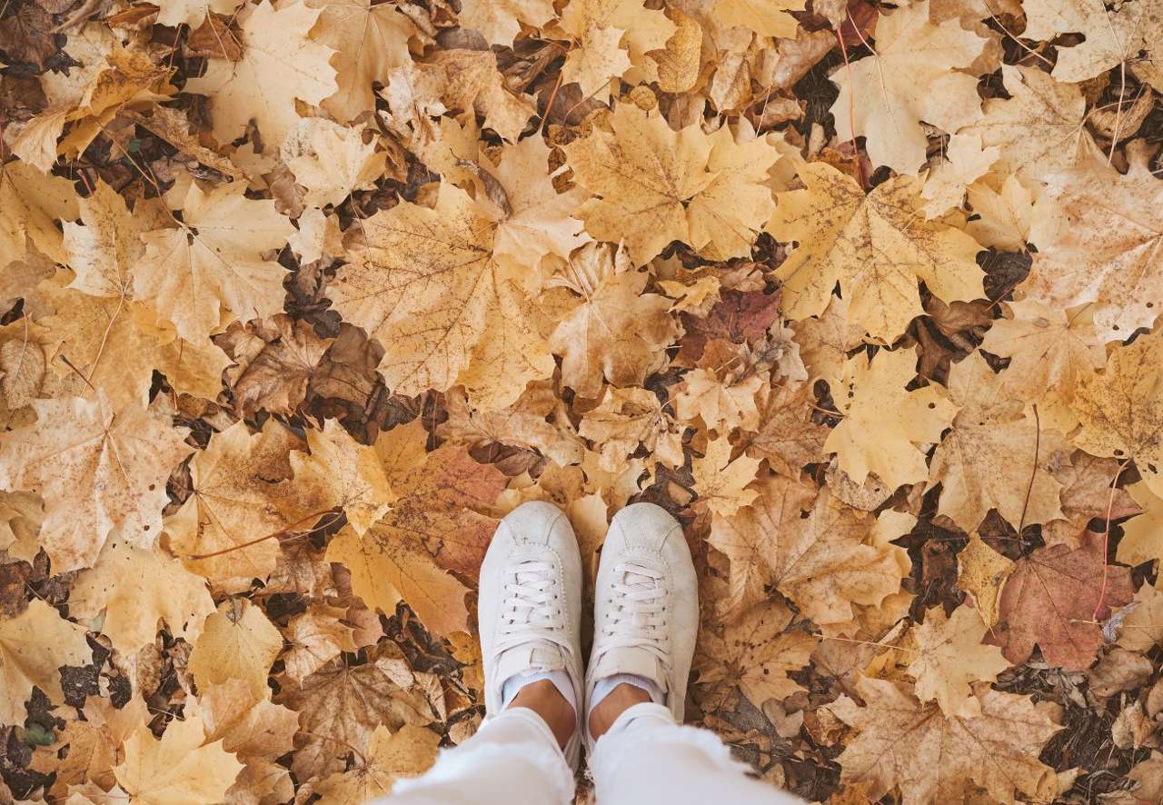 25 frases motivadoras otoño