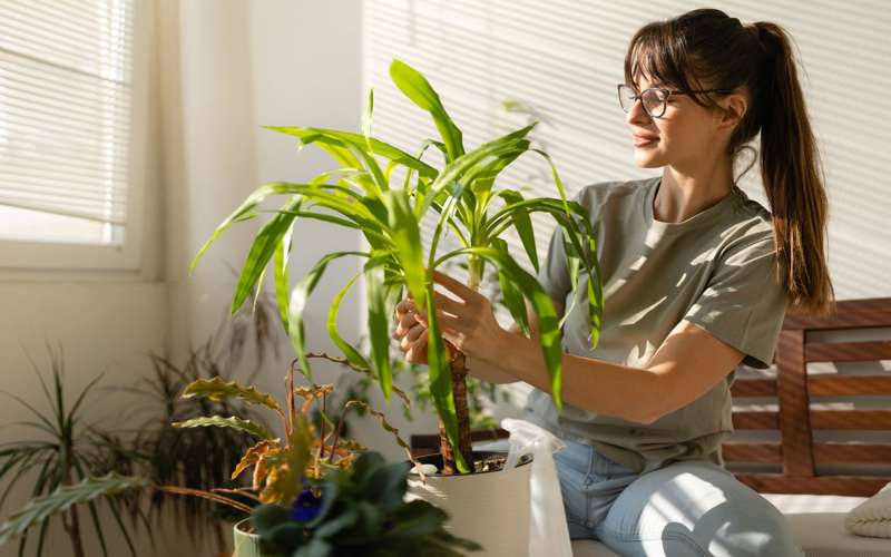 Mujer cuidando plantas