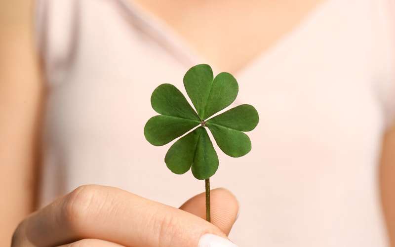 Amuletos para atraer la buena suerte: trébol de 4 hojas