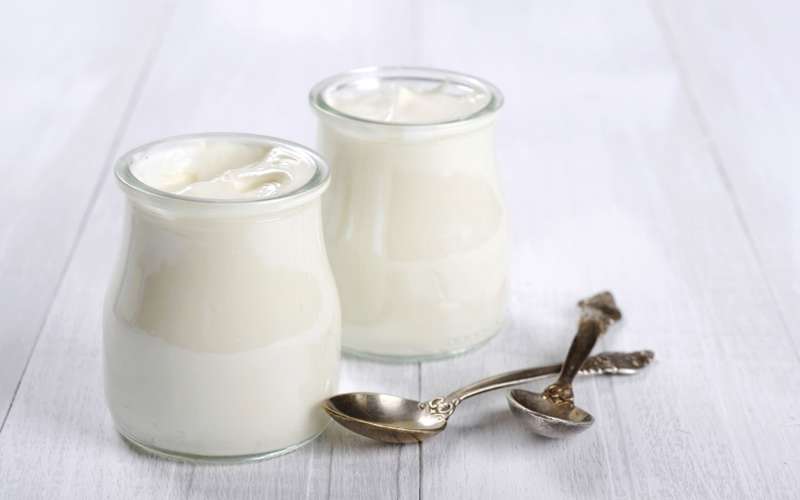 Yogur griego leptina