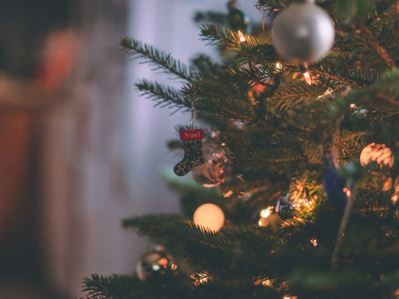 El truco del romero para que tu árbol de Navidad huela bien y atraigas buena suerte