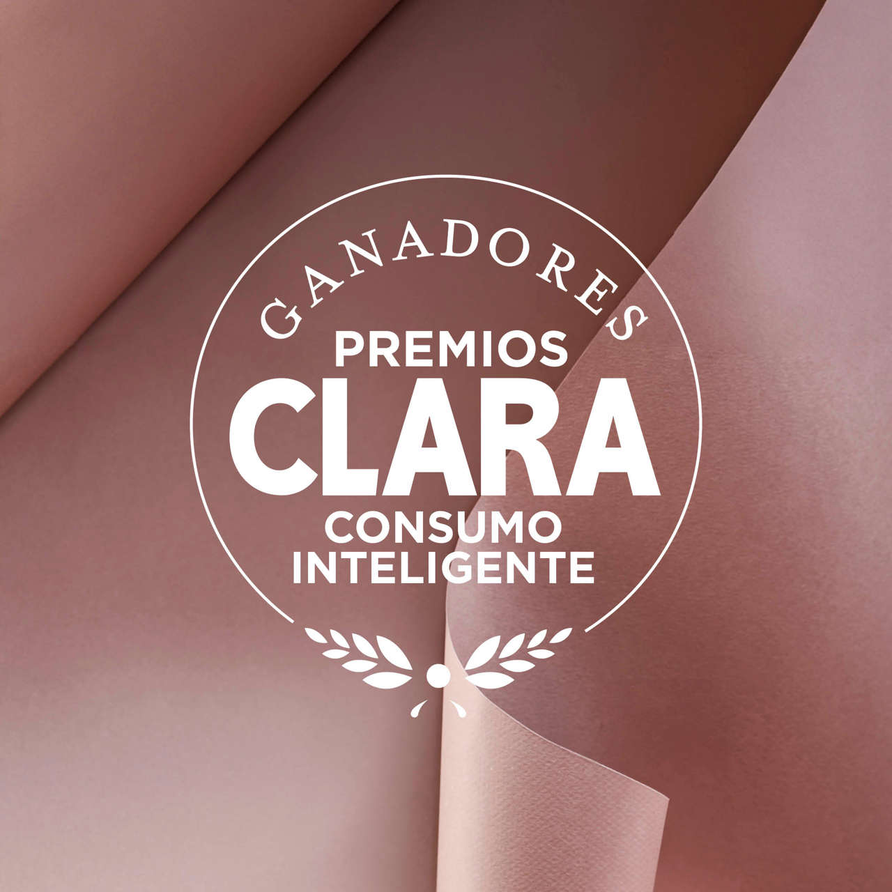 Ganadores premios CLARA