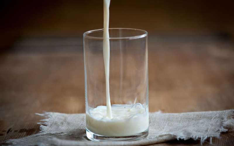 ¿Cuál es la mejor leche para bajar de peso?