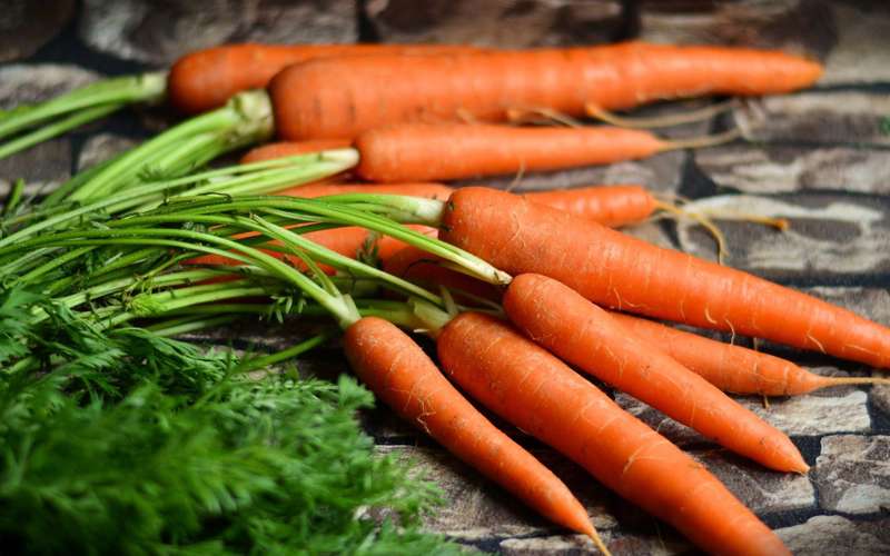 beneficios comer zanahorias