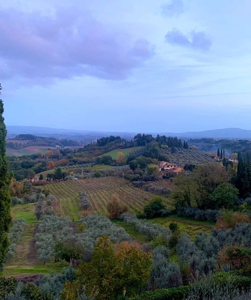 Campos de la Toscana