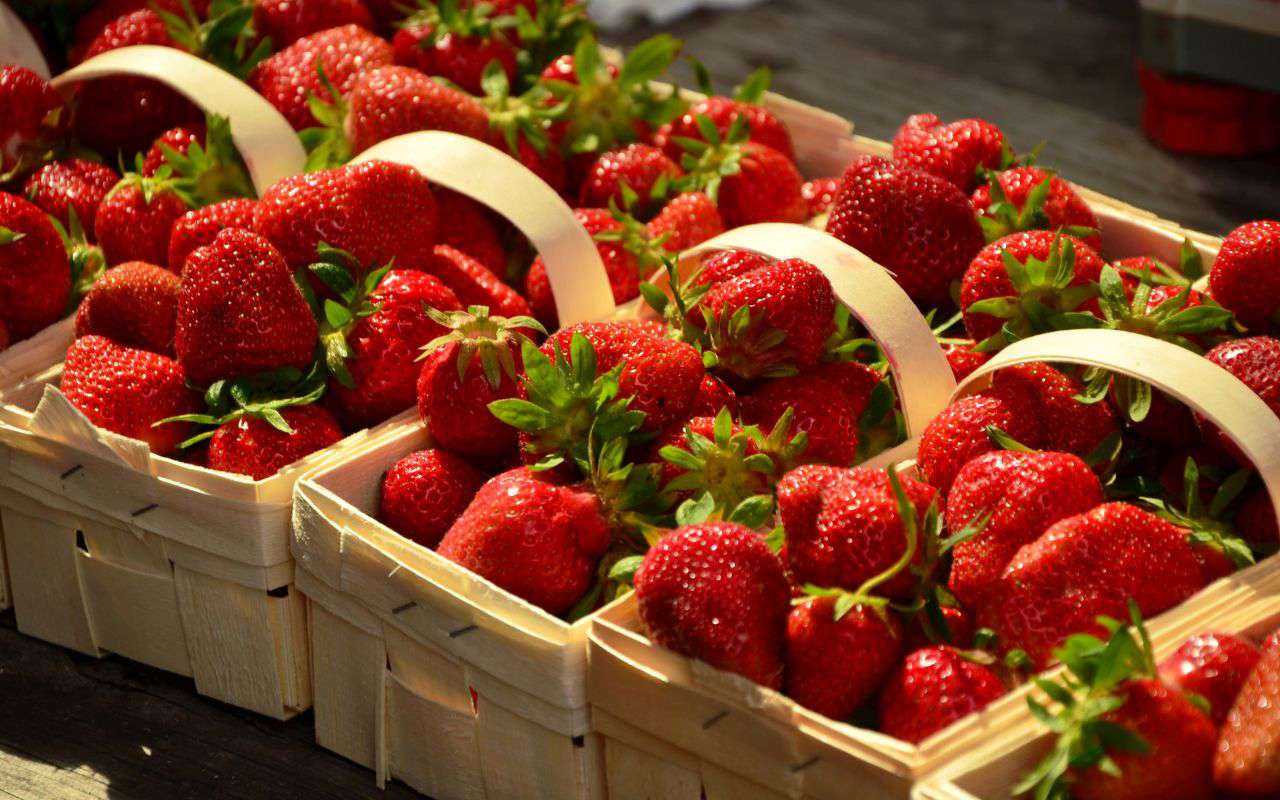 Alimentos que no engordan: fresas
