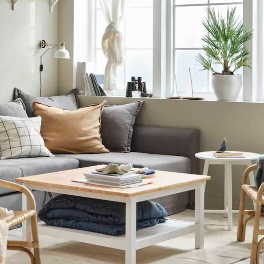8 palmeras de salón de IKEA resistentes, fáciles de cuidar y muy vistosas para un toque tropical en casa