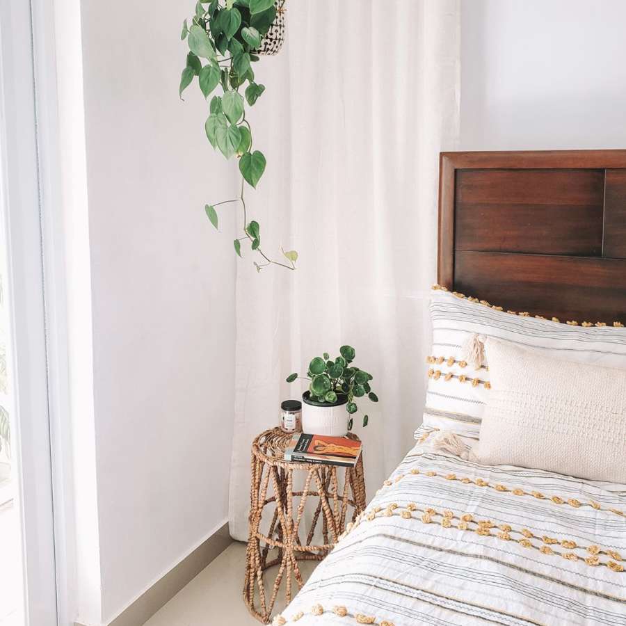 4 plantas que puedes tener en el dormitorio porque purifican el aire (y 4 no tan recomendables)
