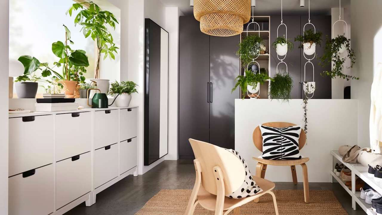 10 plantas elegantes de IKEA desde 1€ y muy fáciles de cuidar para decorar rincones de tu casa esta primavera