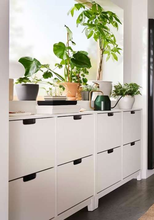10 plantas elegantes de IKEA desde 1€ y muy fáciles de cuidar para decorar rincones de tu casa esta primavera