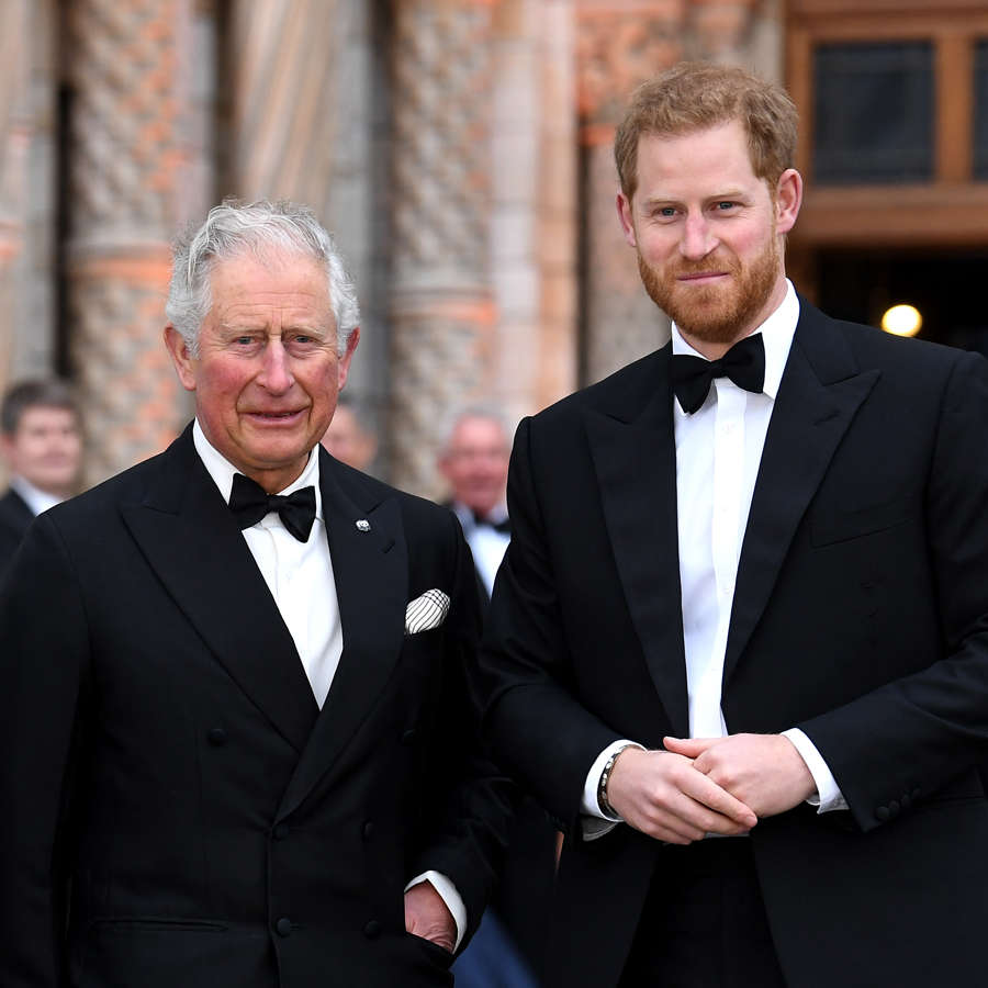 Tom Quinn, experto en Corona británica, da las claves sobre el inminente reencuentro entre Harry y Carlos III