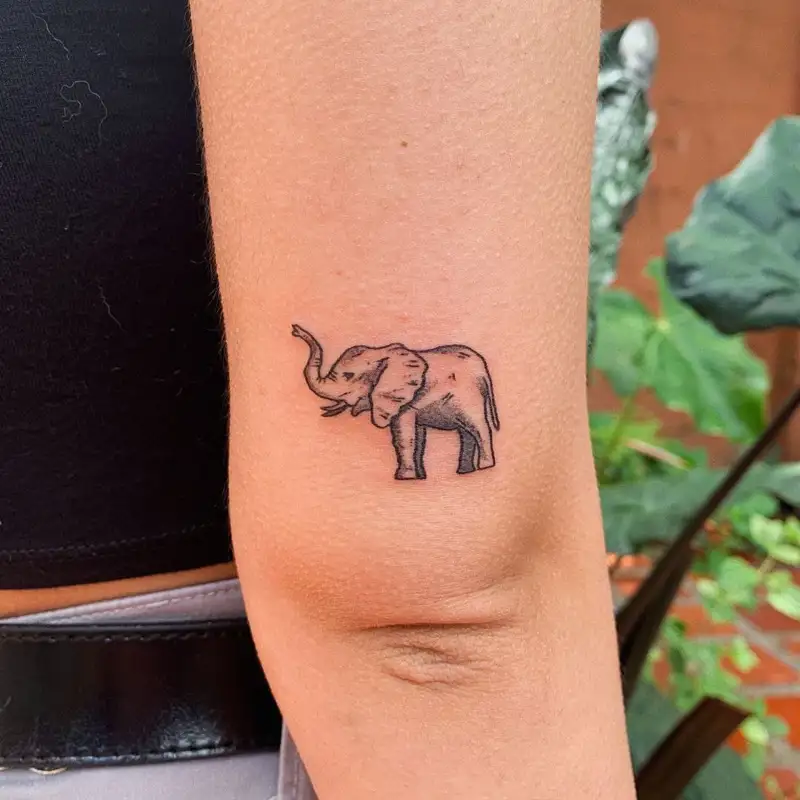 tatuaje elefante mujer