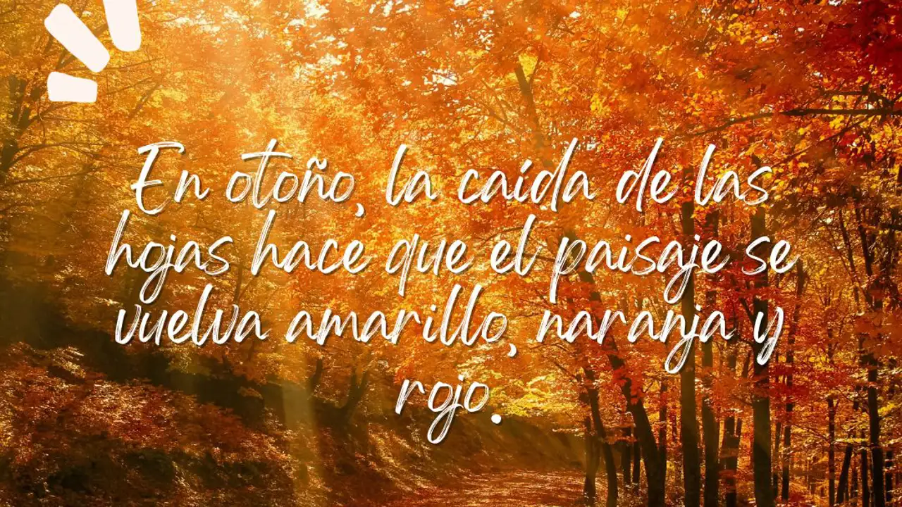 frases motivadoras otoño