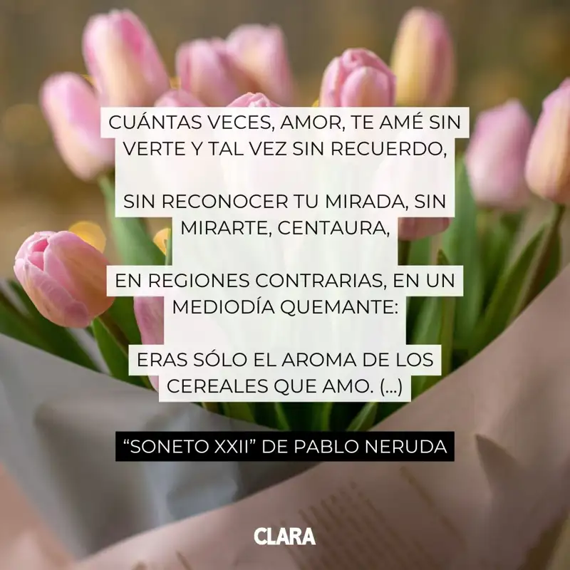 Poemas de Pablo Neruda