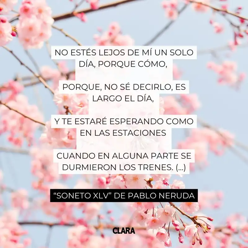 Poemas de Pablo Neruda