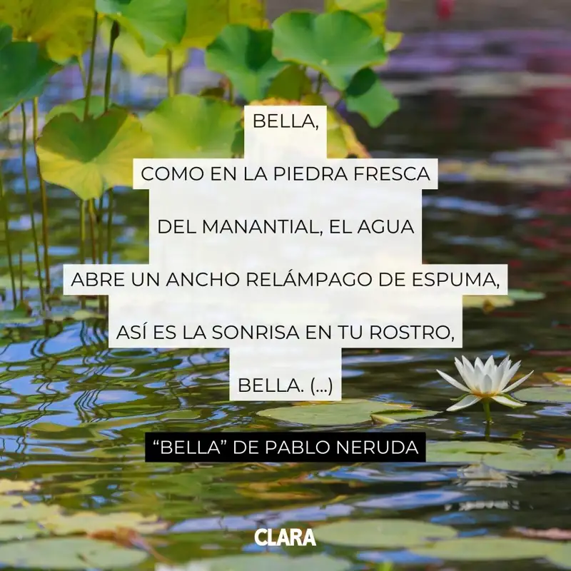 Poemas de Pablo Neruda