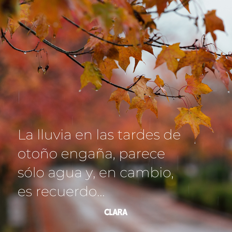 FRASE OTOÑO