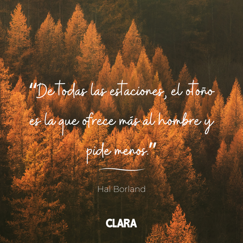 frase otoño