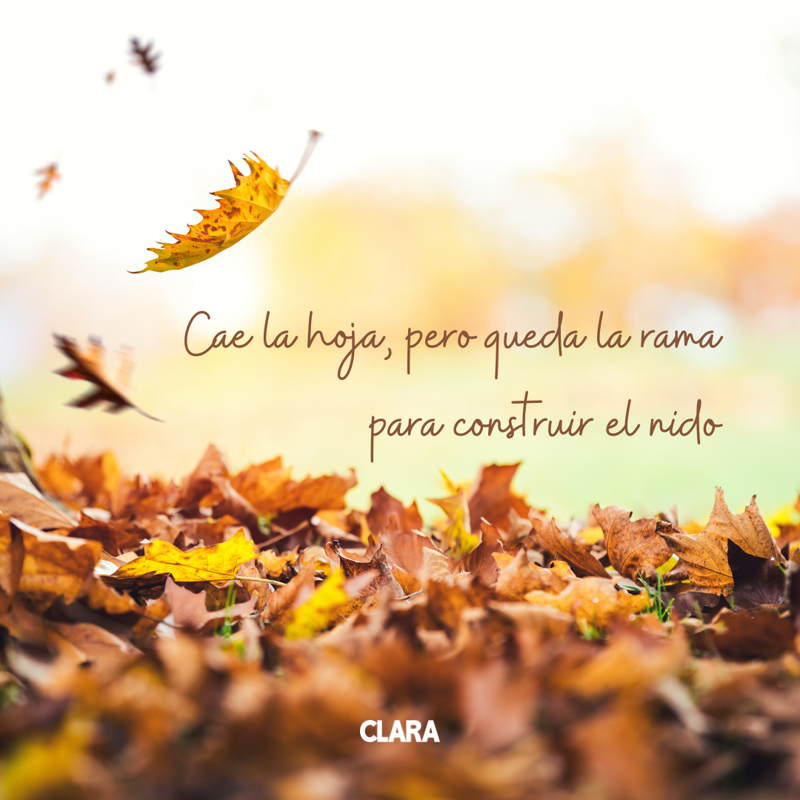 frase otoño