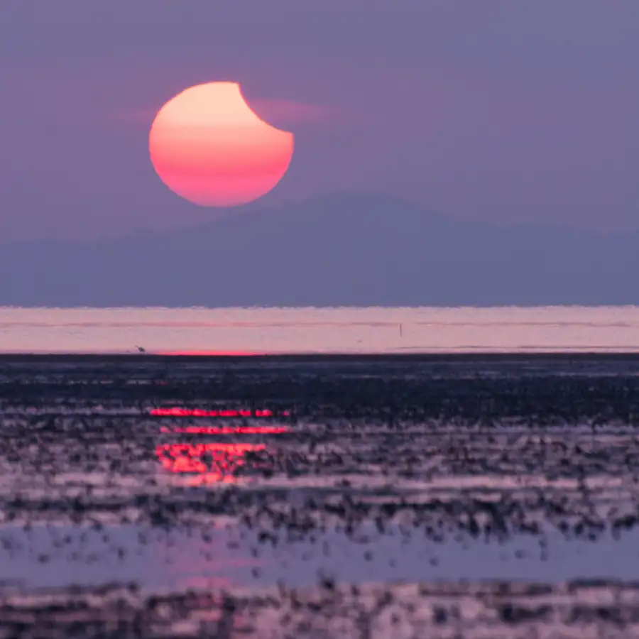 Así será el eclipse solar de octubre que cubrirá el Sol formando un anillo de luz: dónde verlo y a qué signos afectará