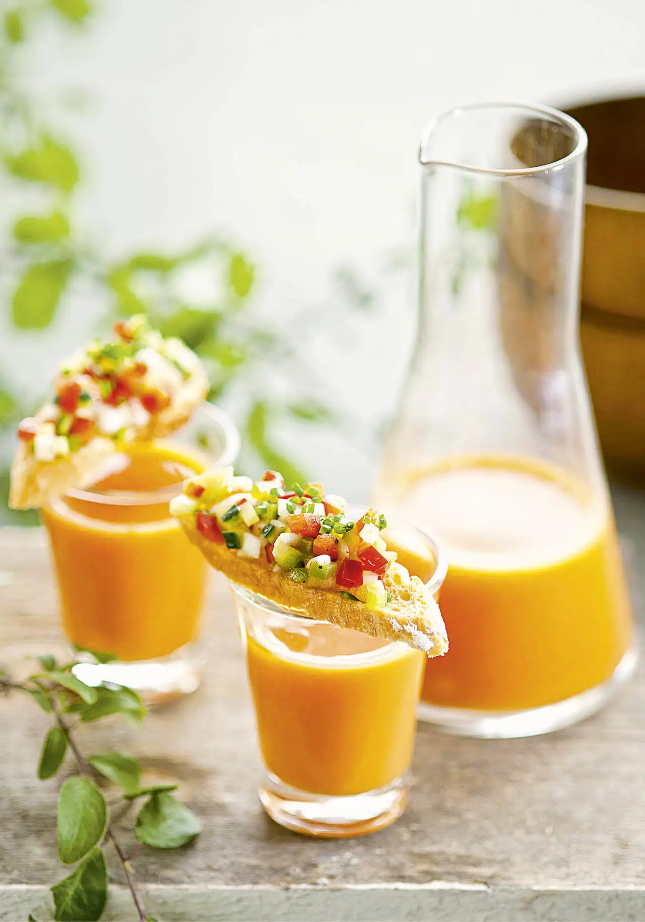 aperitivos frios chupitos gazpacho