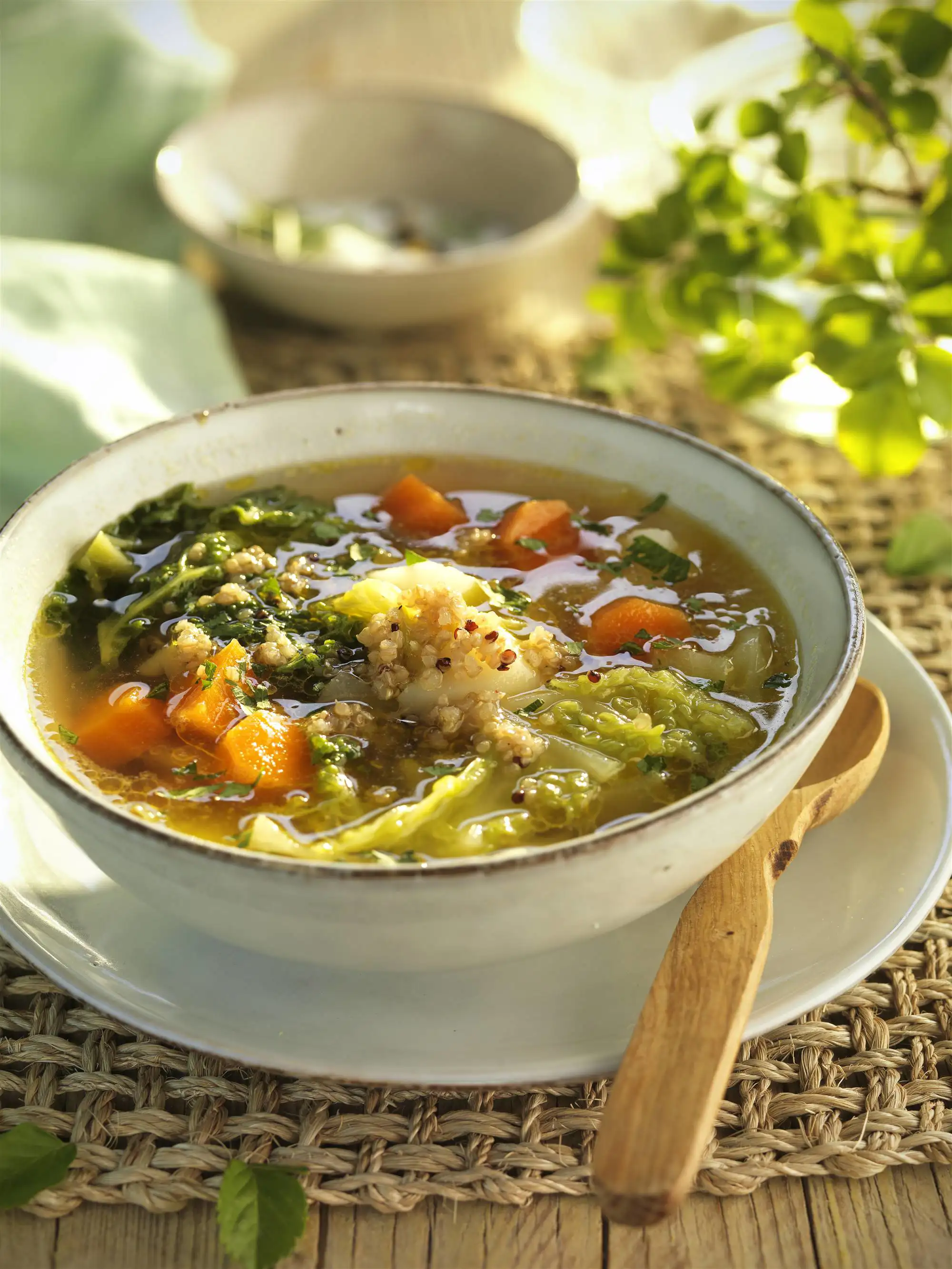 recetas de sopas rapidas para cenar sopa de col y zanahoria con seitán