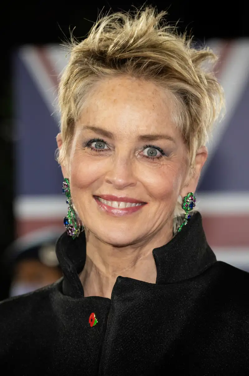 Cortes-de-pelo-corto-Sharon-Stone-undercut