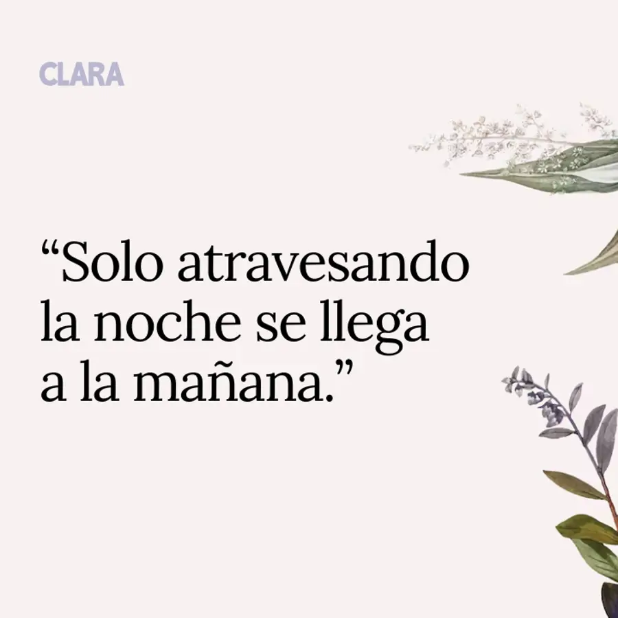 25 frases de buenas noches originales para enviar por WhatsApp (con imágenes)