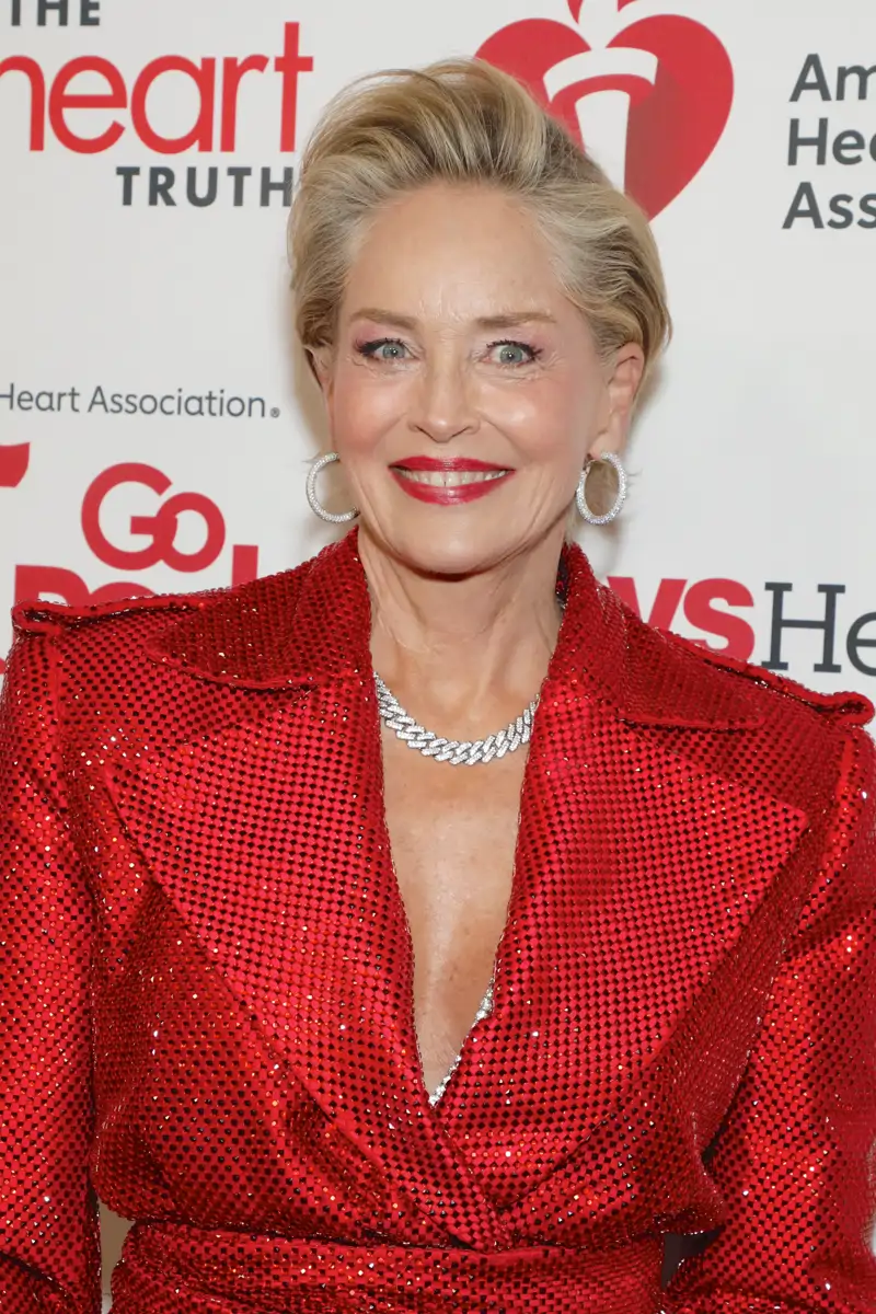 famosas con canas sharon stone