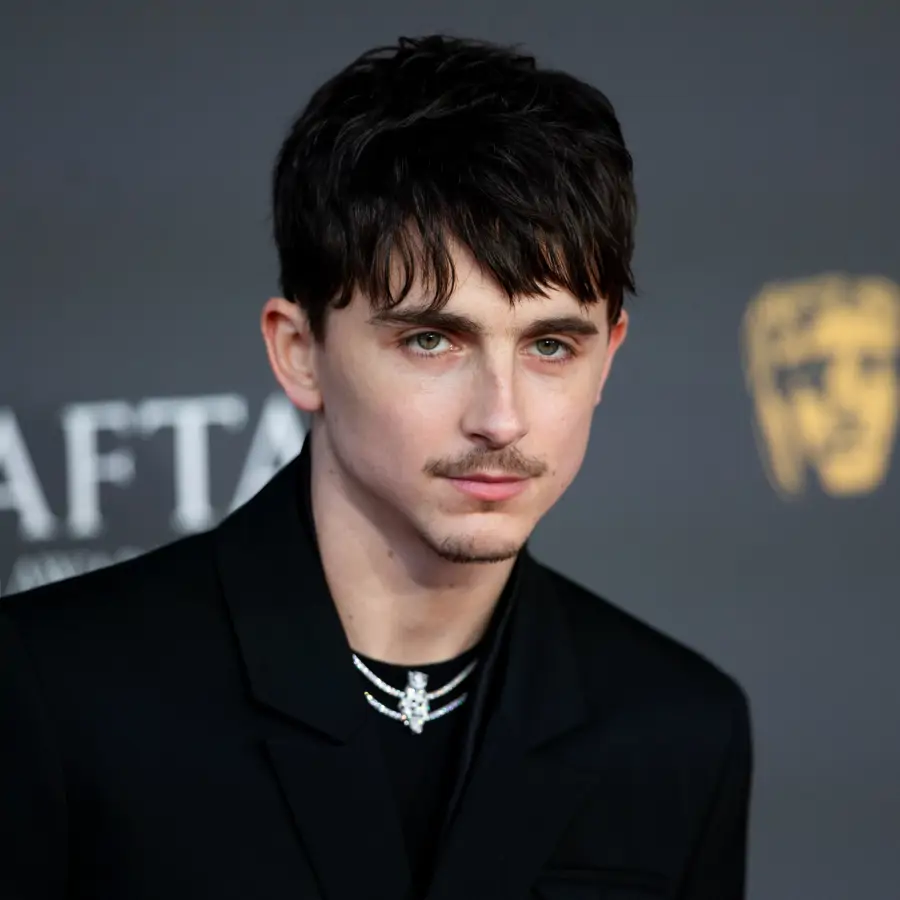 cortes de pelo para hombre Timothee Chalamet