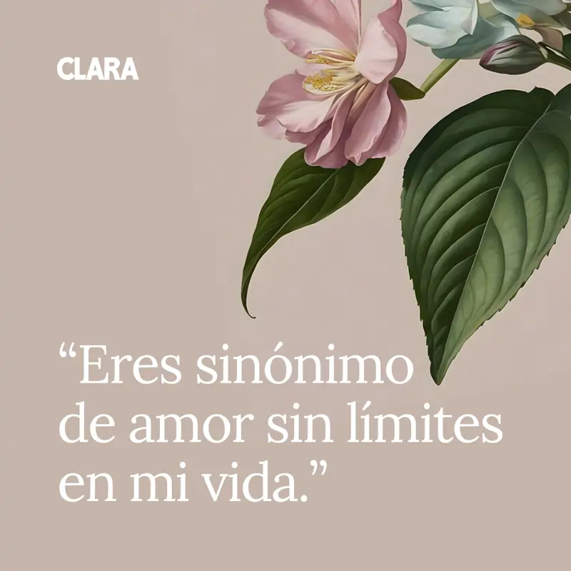 frases madre