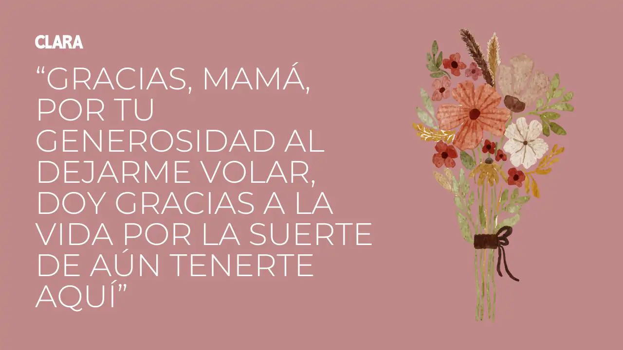 Clara   Frases   Adjunto Superior