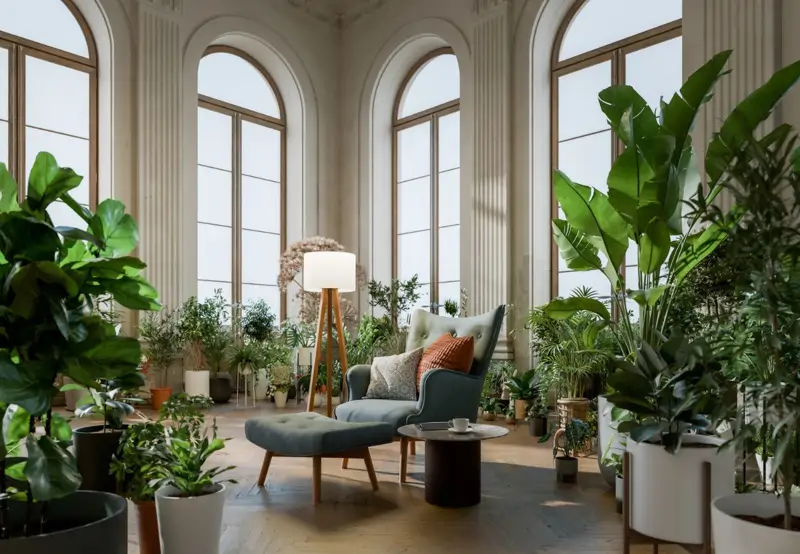 plantasdeinterior