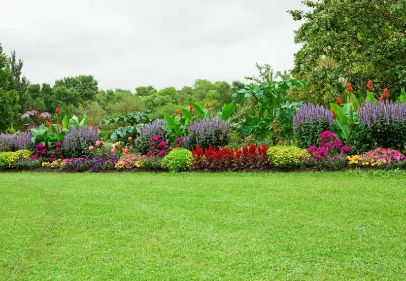 Jardinprecioso