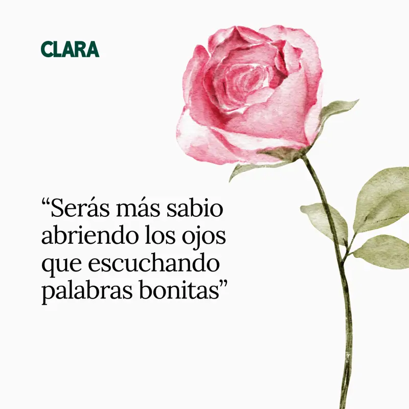 frases decepción