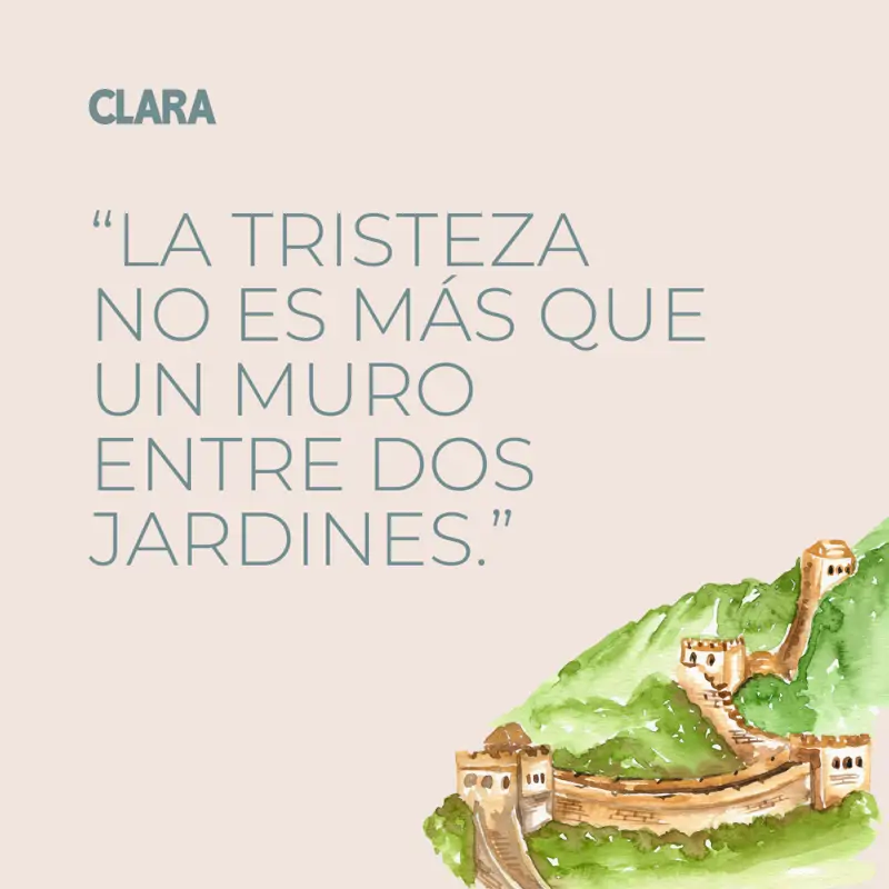 frases decepcion