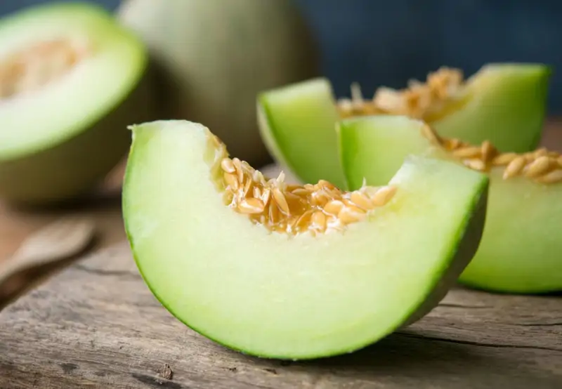 Dieta del melón