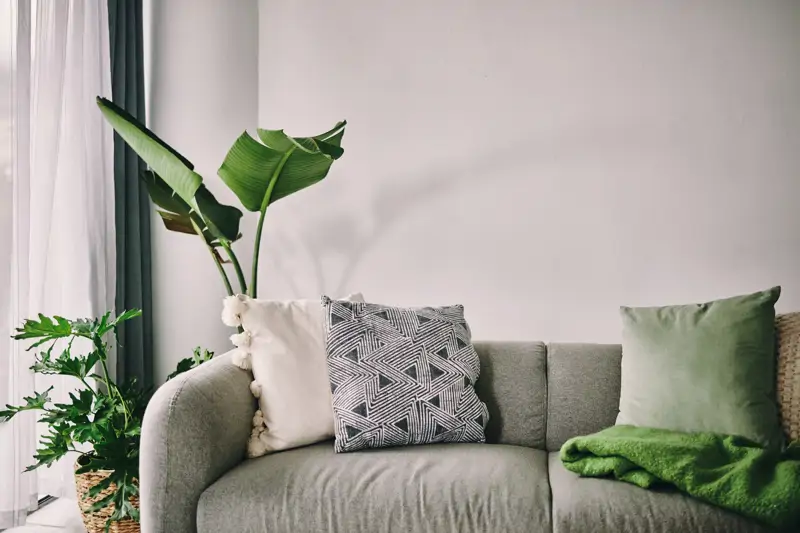 Plantas